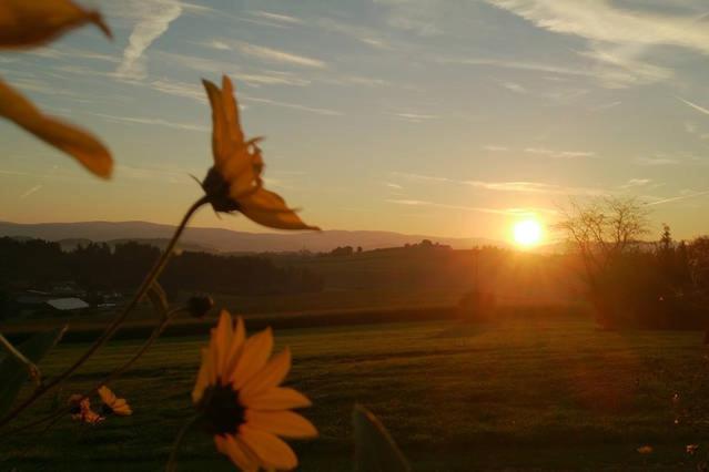 Ferienwohnung Im Bayerischen Wald Tittling Buitenkant foto