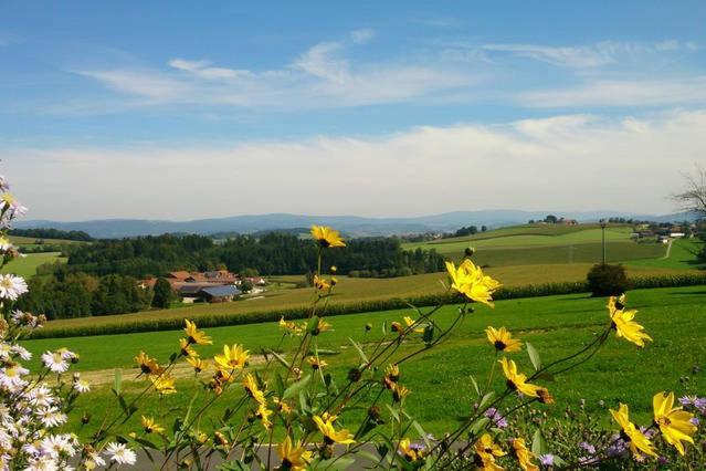 Ferienwohnung Im Bayerischen Wald Tittling Buitenkant foto